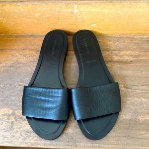Everlane Sandals